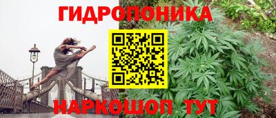 крисы Заволжье