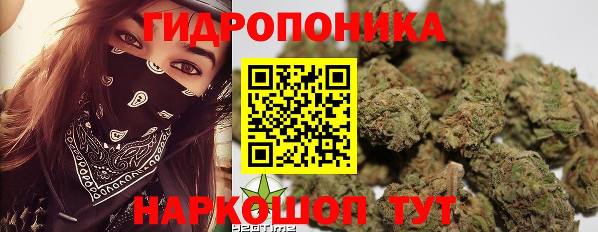 Каннабис SATIVA & INDICA  Бошки Шишки конопля  Канабис White Widow  Златоуст  Вход с VPN  Бошки Шишки планчик 